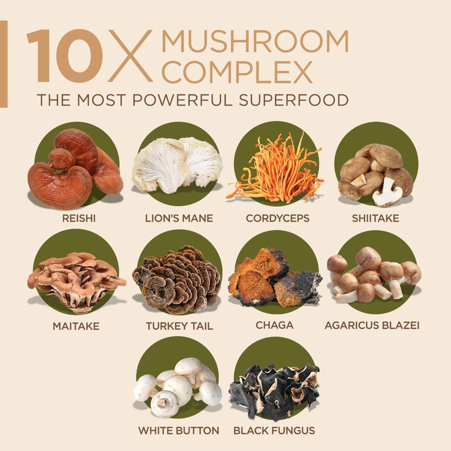 10 كبسولات من مركب الفطر مع عش - مراجعة Lion Mane Mushroom وسعره