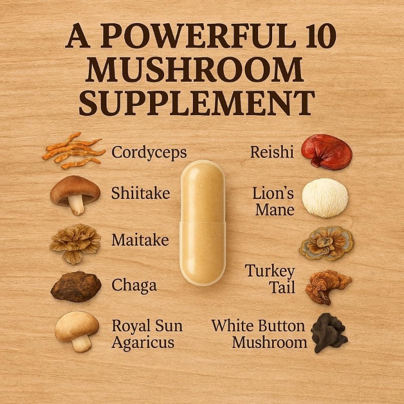 مكمل غذائي مركب من الفطر 10 في - مراجعة Lion Mane Mushroom وسعره