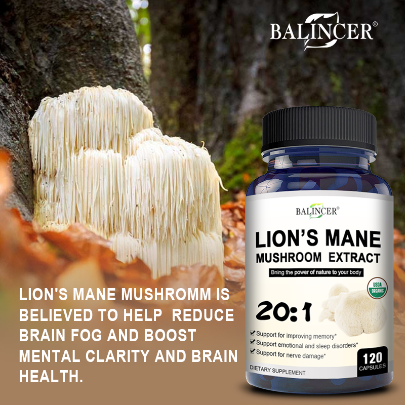 عرف الأسد - ذاكرة الدماغ المعك - مراجعة Lion Mane Mushroom وسعره