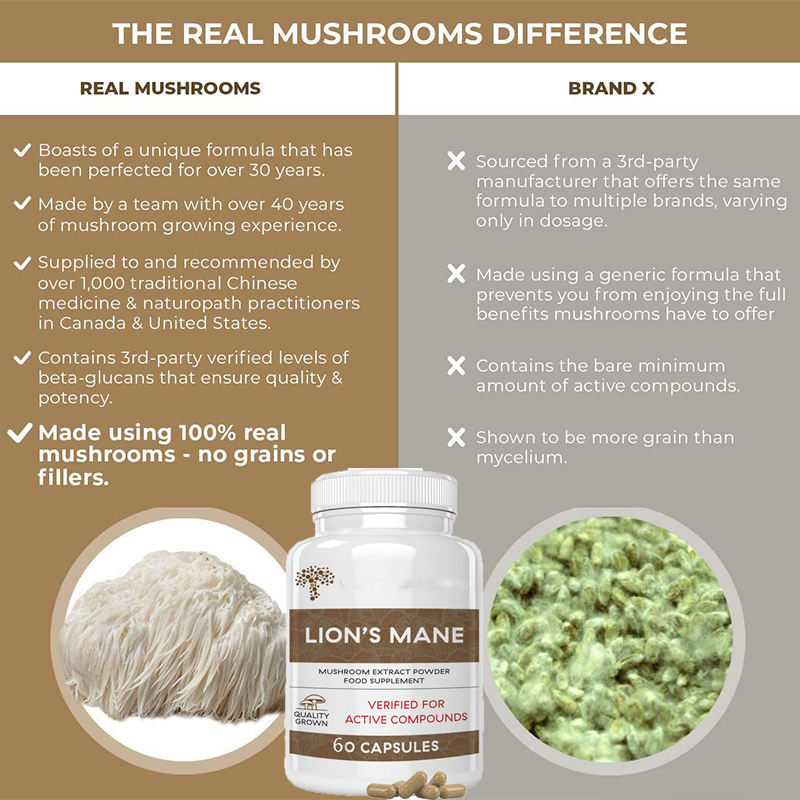 تعمل كبسولات فطر ليون ماني غان - مراجعة Lion Mane Mushroom وسعره
